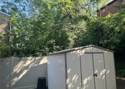 Professional Tree Service