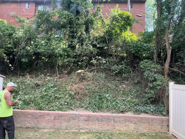 Shrub Trimming
